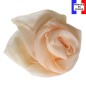 Foulard mousseline soie champagne fabriqué en France